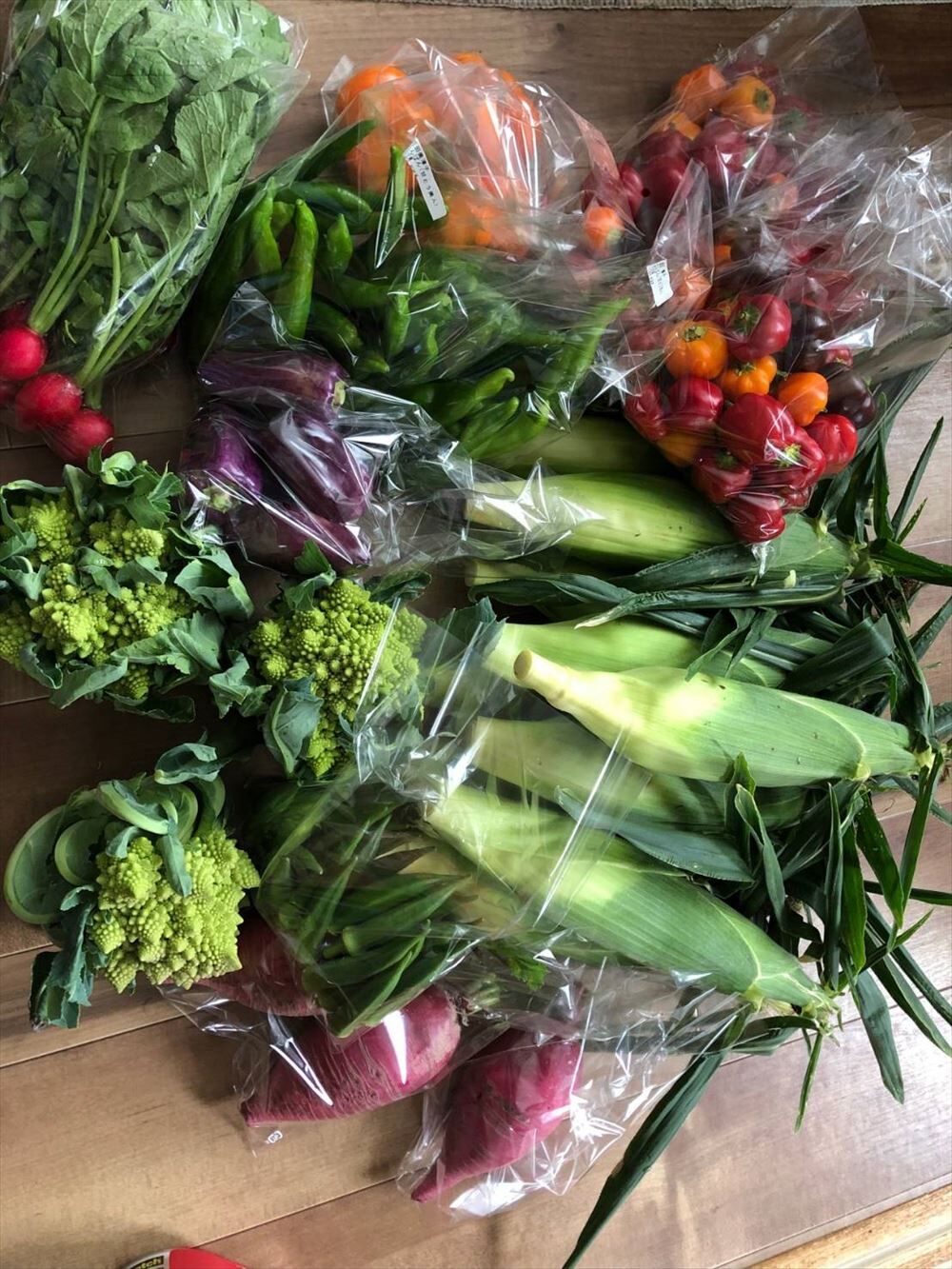 野菜_R